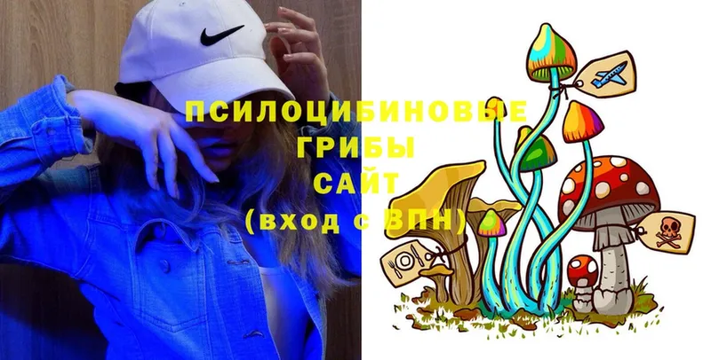 Галлюциногенные грибы Magic Shrooms  Карачаевск 