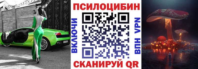 Галлюциногенные грибы Psilocybine cubensis где можно купить Карачаевск